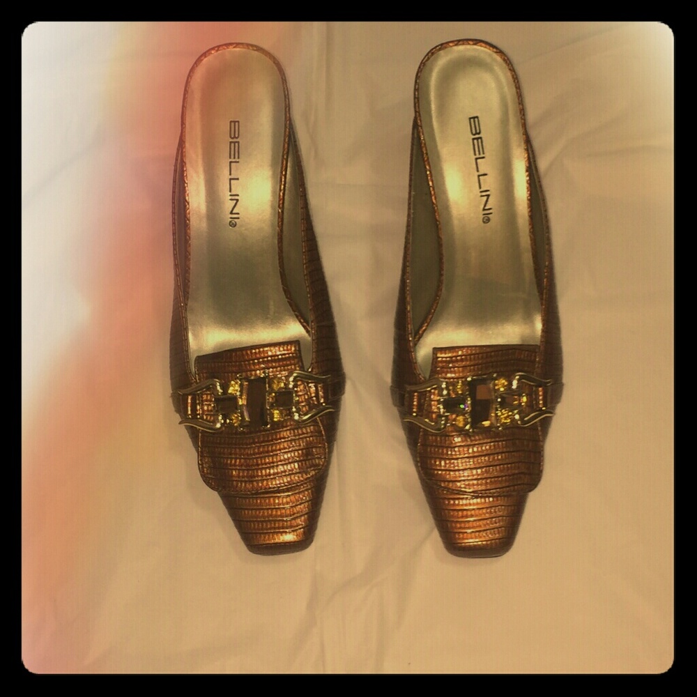 Beautiful mule shoes